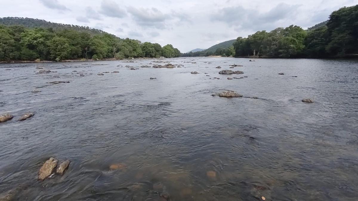 Cauvery Authority chief calls for better agricultural and water management practices, formation of river board to resolve dispute