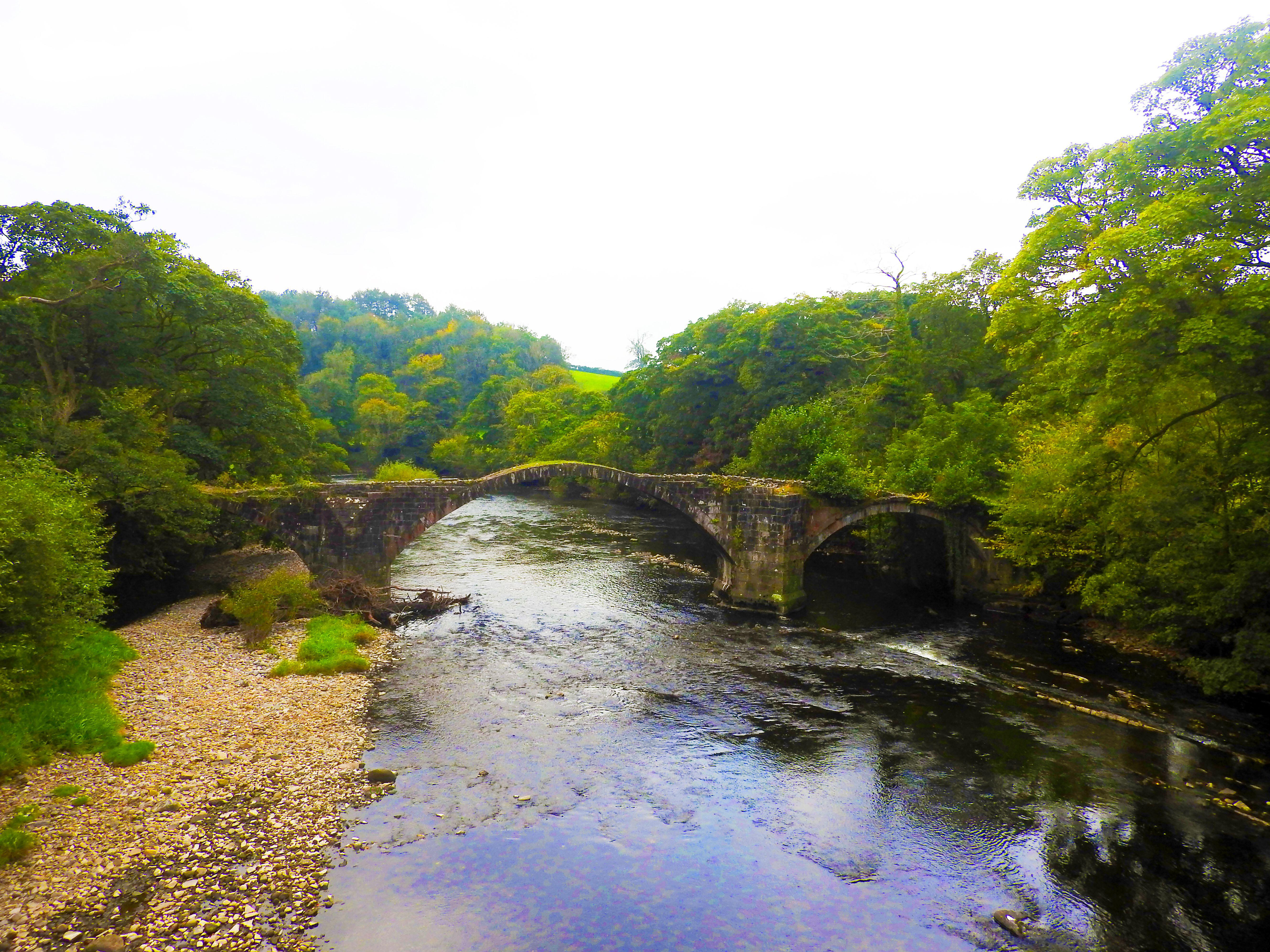 Remains of foetus found next to river – as cops launch probe into horror discovery