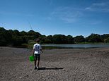Britain's drought could spark an outbreak of infectious diseases, scientists warn