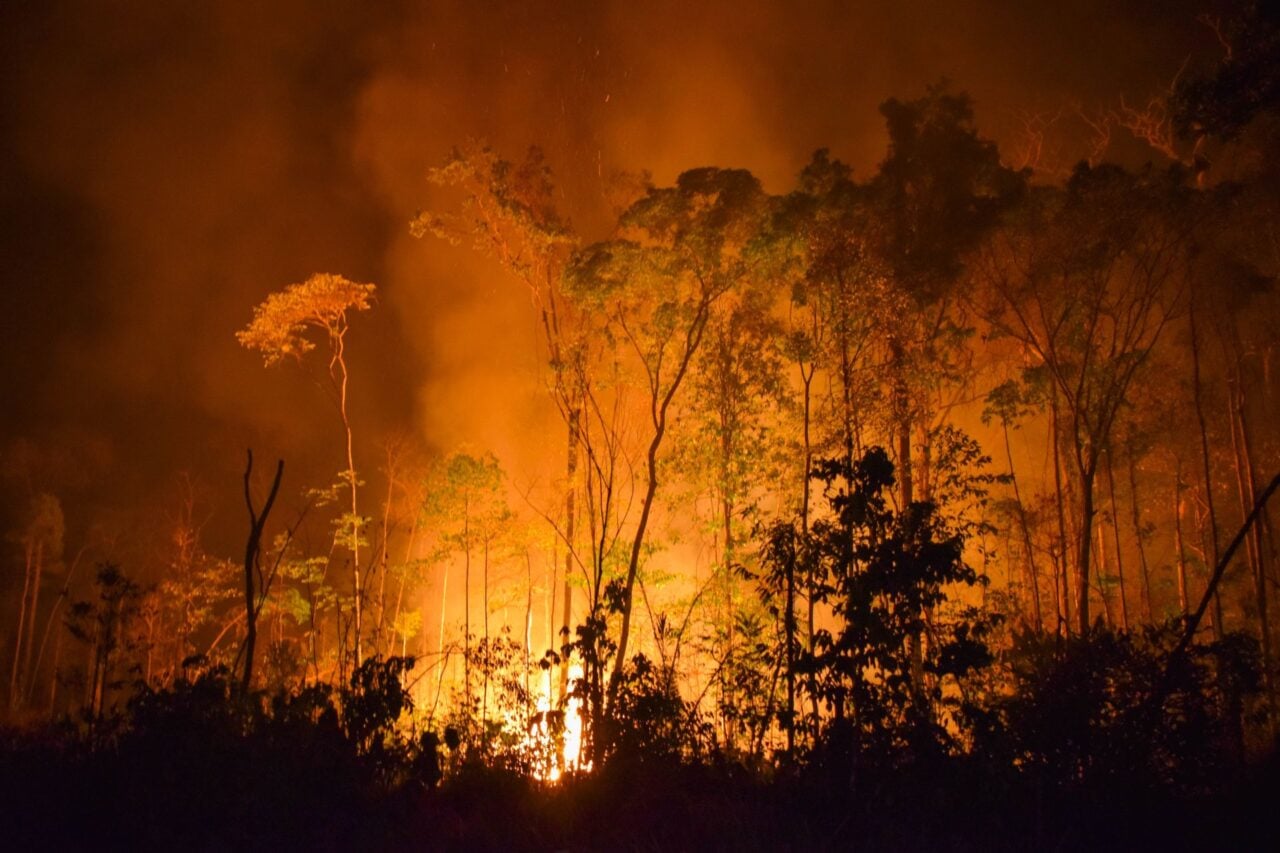 A ‘Super’ El Niño Could Push the Amazon Toward a Tipping Point, Scientists Warn