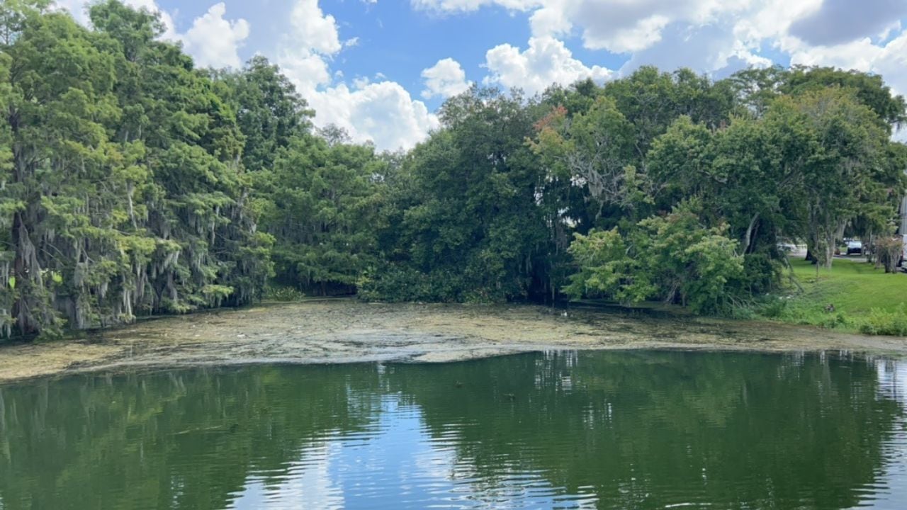 Testing underway after blue-green algae found at Lake Formosa