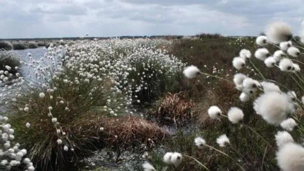 Nature reserve closes due to wildfire risk