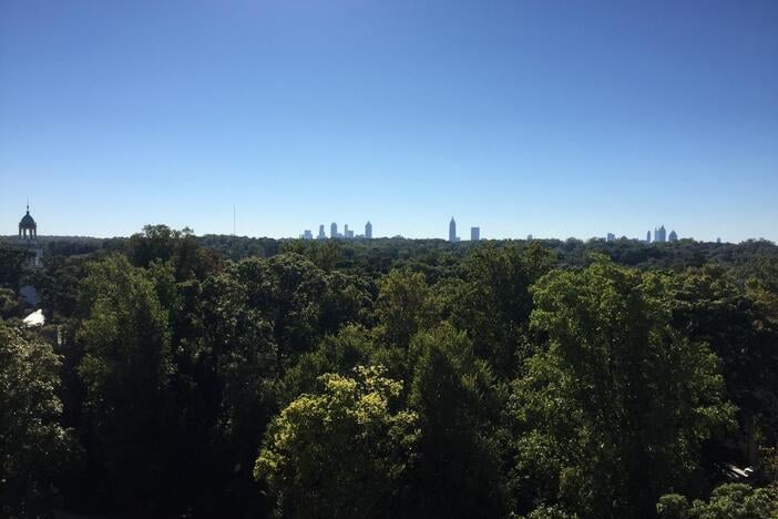 Georgia Today: Voters focus on health; Rome water plant; Atlanta tree canopy