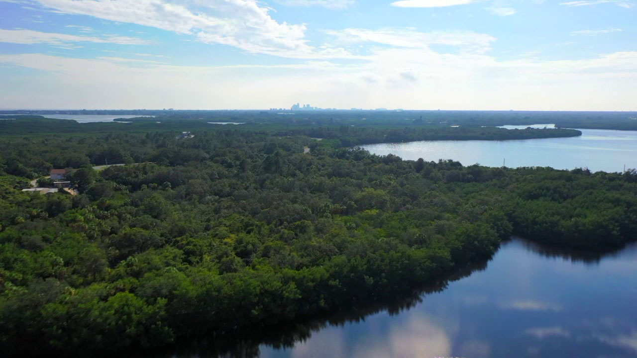 Pinellas County leaders consider funding cuts for Weedon Island, Shell Key preserves