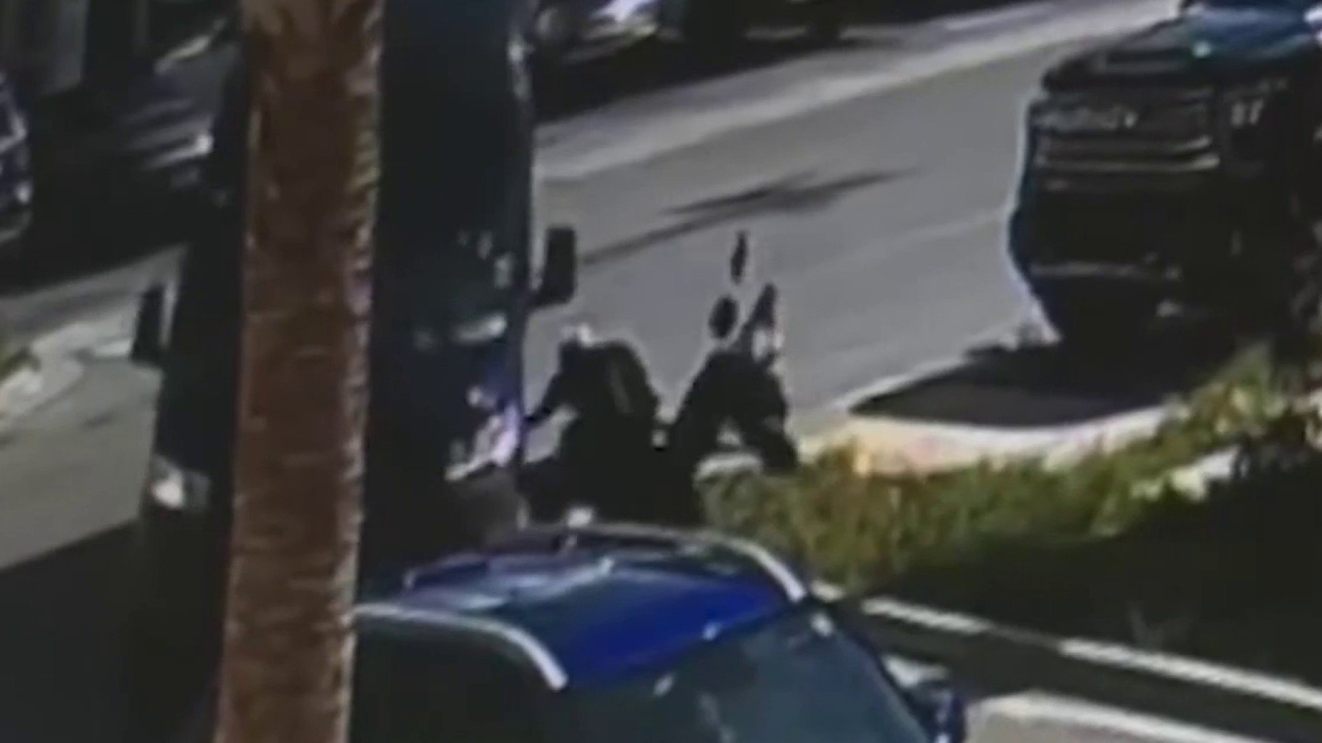 Surveillance shows driver hit man in wheelchair and flee in Dania Beach