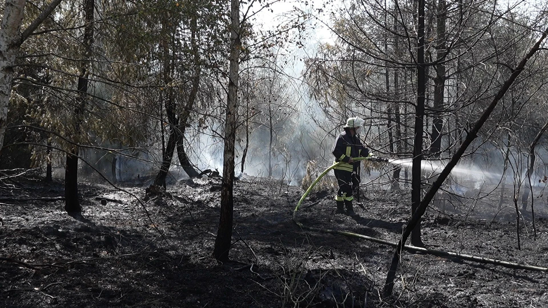 Rhein-Main-Gebiet: Feuerwehren kommen kaum noch zur Ruhe