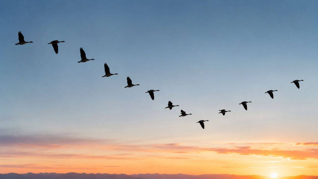 How the first bird learned to fly 150 million years ago, study reveals