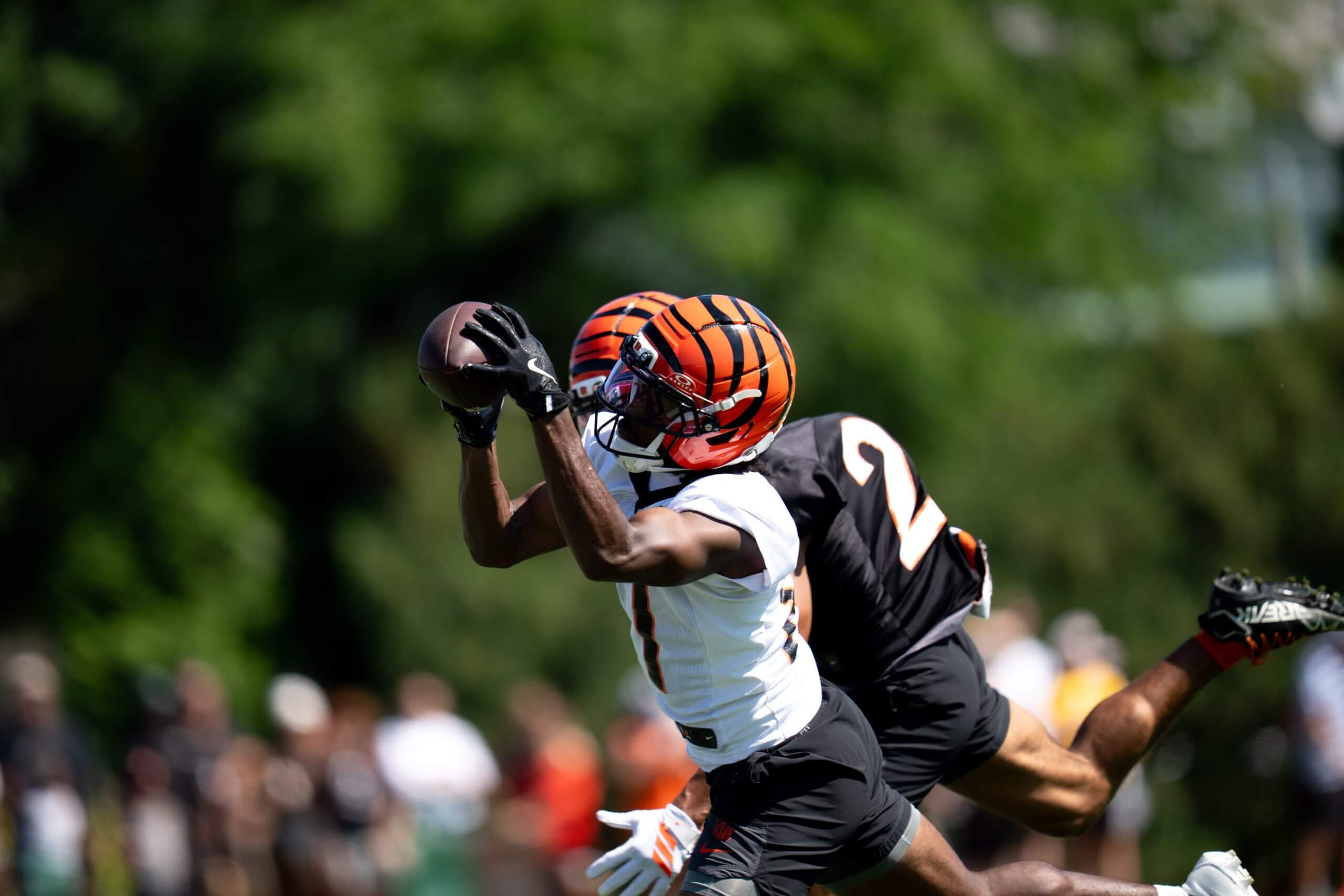How Dohnte Meyers rose from DoorDash driver to the CFL to Bengals camp star
