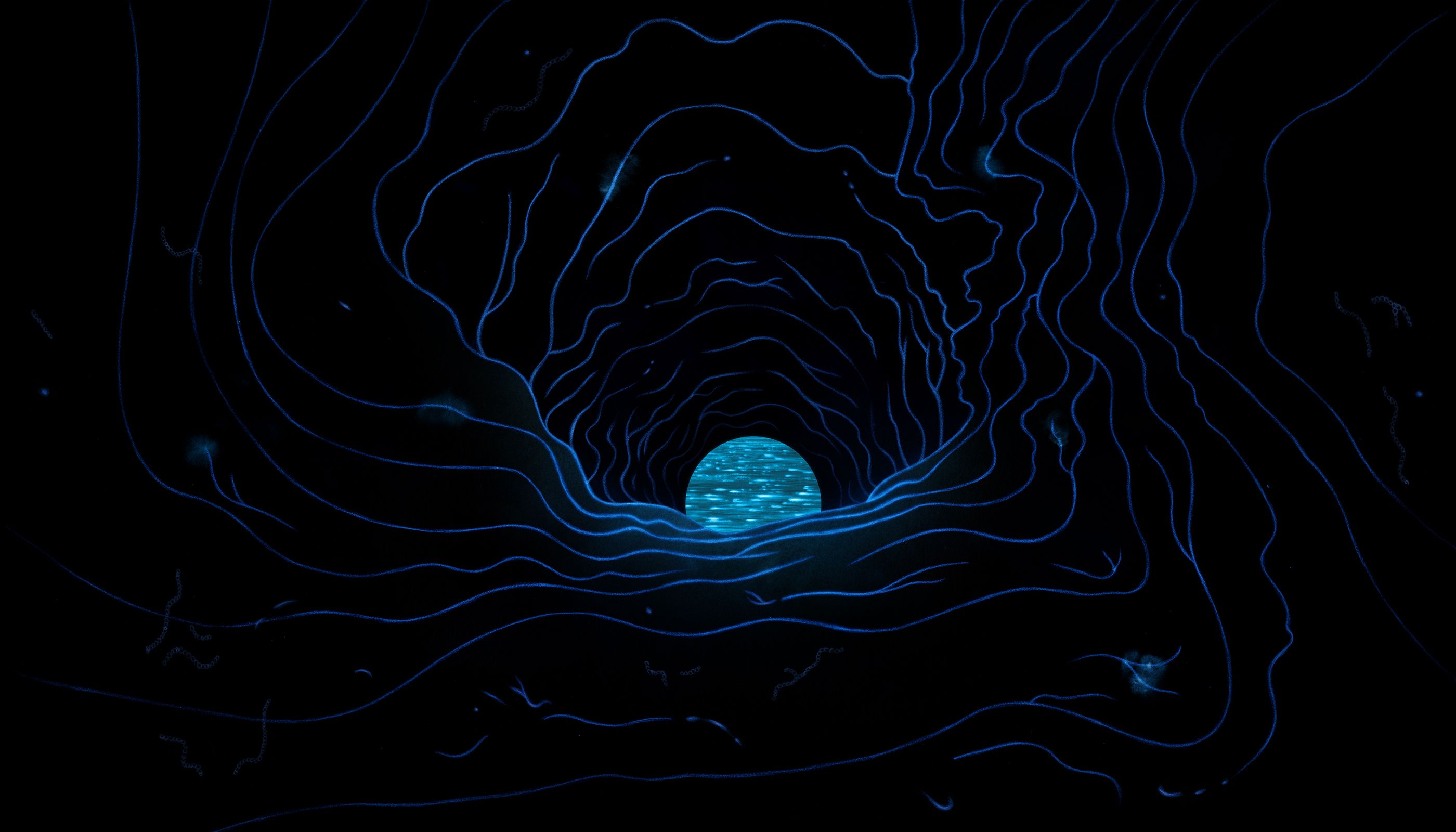 The Mystery of Dark Oxygen