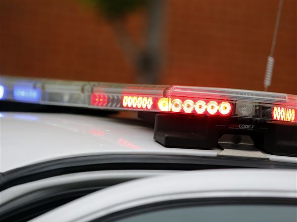 Toledo Crime Log: 8/13
