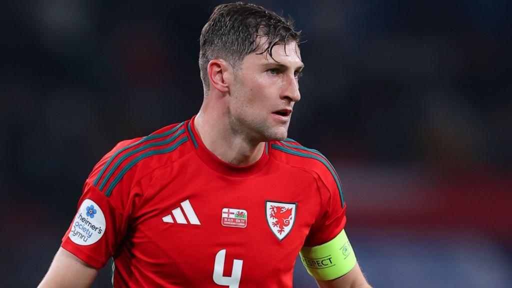 Wales captain Davies joins FAW council