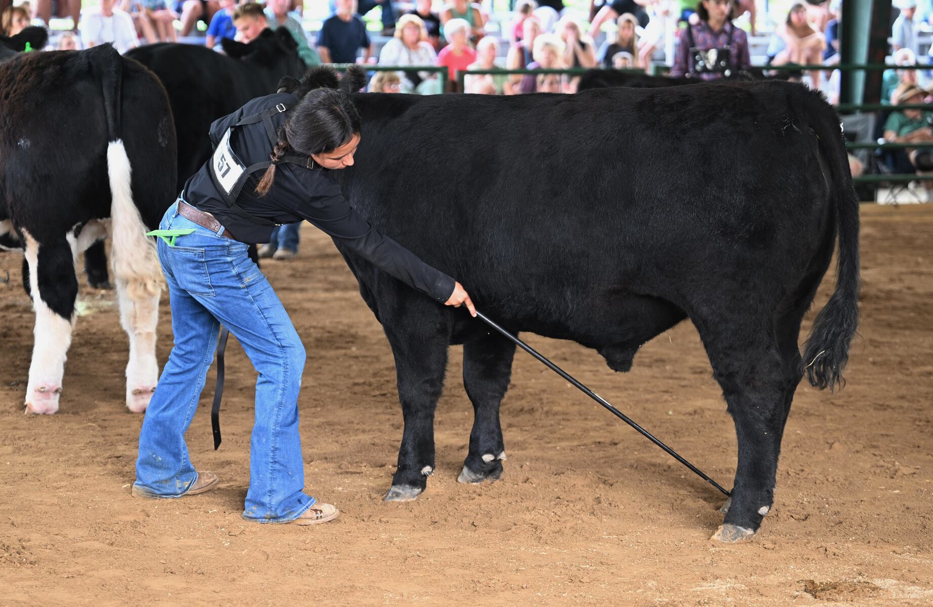 Large animal auction and a parade: Here is what is on tap Thursday at the 2026 Jackson County Fair