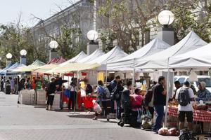 Why Cyclospora has been leafing San Franciscans alone