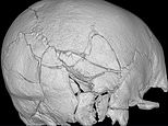 The Scottish soldier whose skull was crushed by a trebuchet: Skeleton found at Stirling castle is first confirmed victim of trebuchet attack