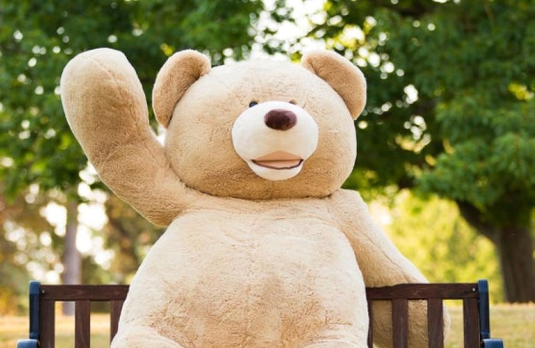 Costco, known for its 93-inch plush teddy, is launching a new bear