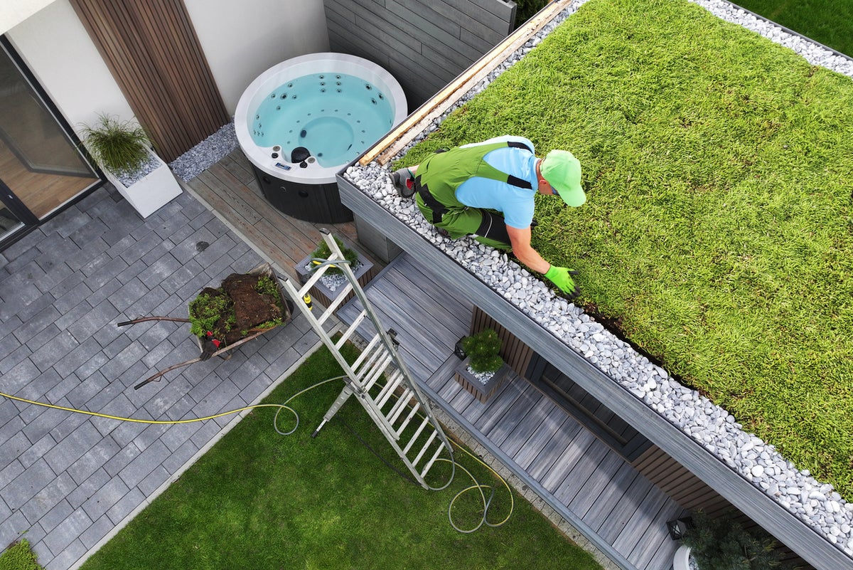 This green hack can help cool down cities during heatwaves — but many don’t survive
