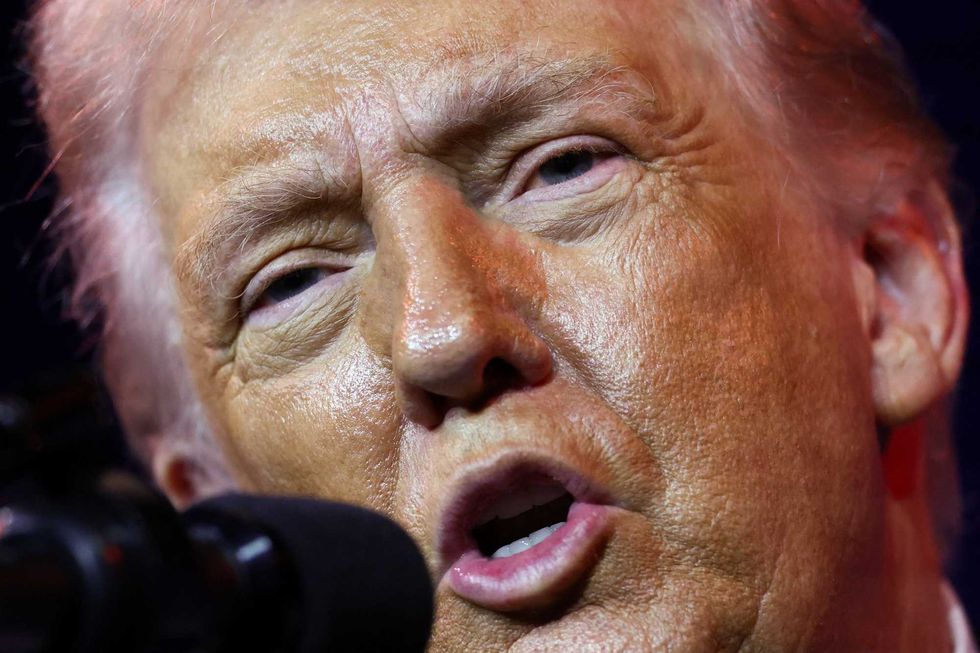Path to beat Trump runs through Dem’s 'New Southern Strategy': data expert