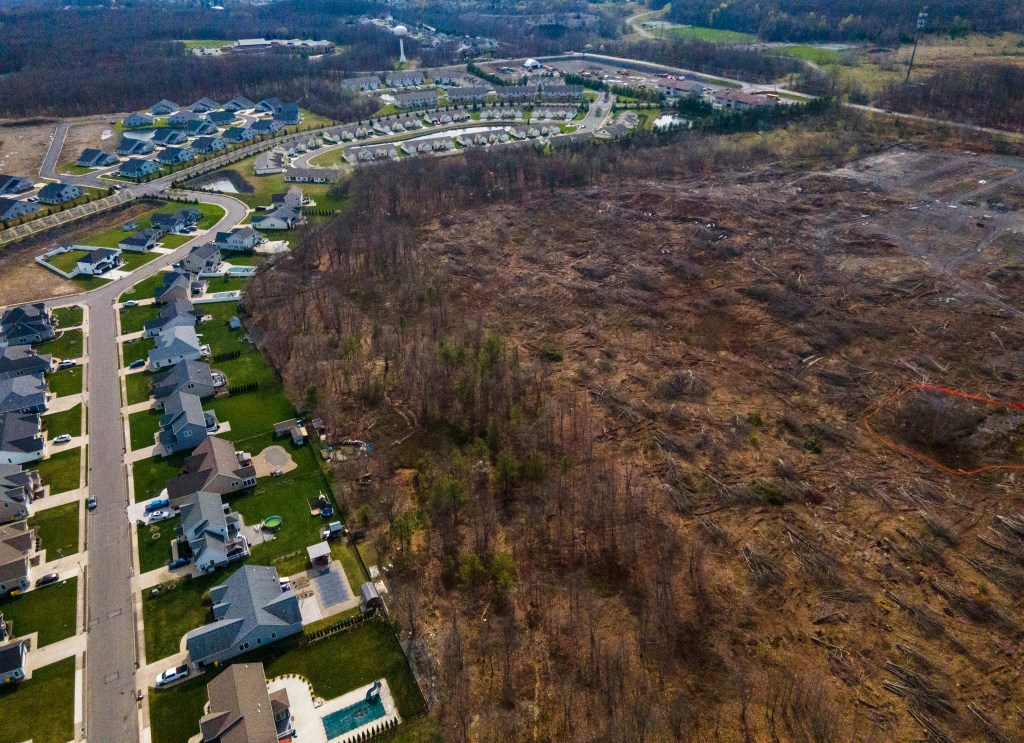 Why Land Will Be a Winner in the Age of AI