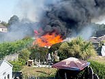 Fire rips through six gardens with sheds and hedges ablaze - after huge wildfire destroyed six homes in Welsh town