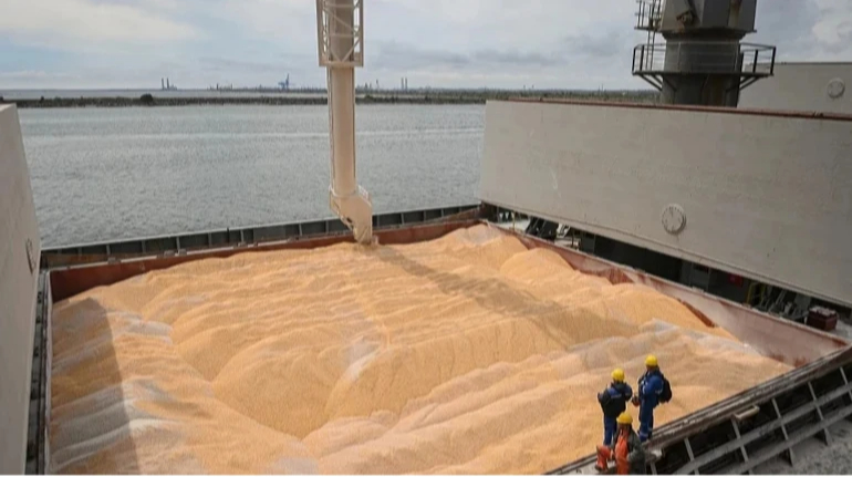 Russian attacks cause 75% drop in grain exports from Ukraine