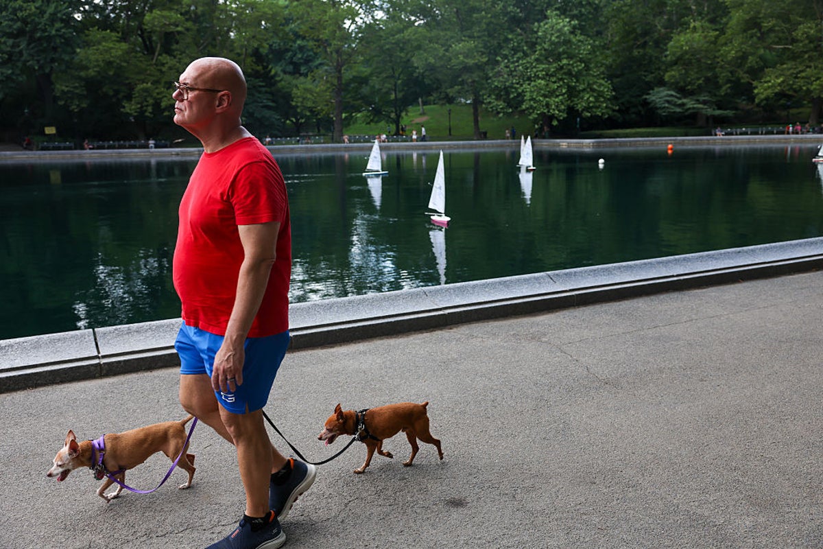 No tax on Social Security? The facts about Trump’s plan are here - and they could hurt US retirees the most