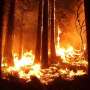 Three days of Ontario wildfire smoke brought unhealthy air to 106 million person-days