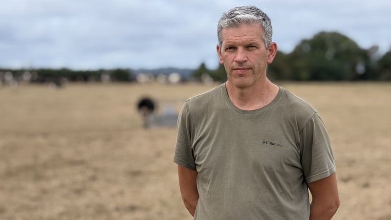 'It's costing €500 a day' - farmers count dry spell cost