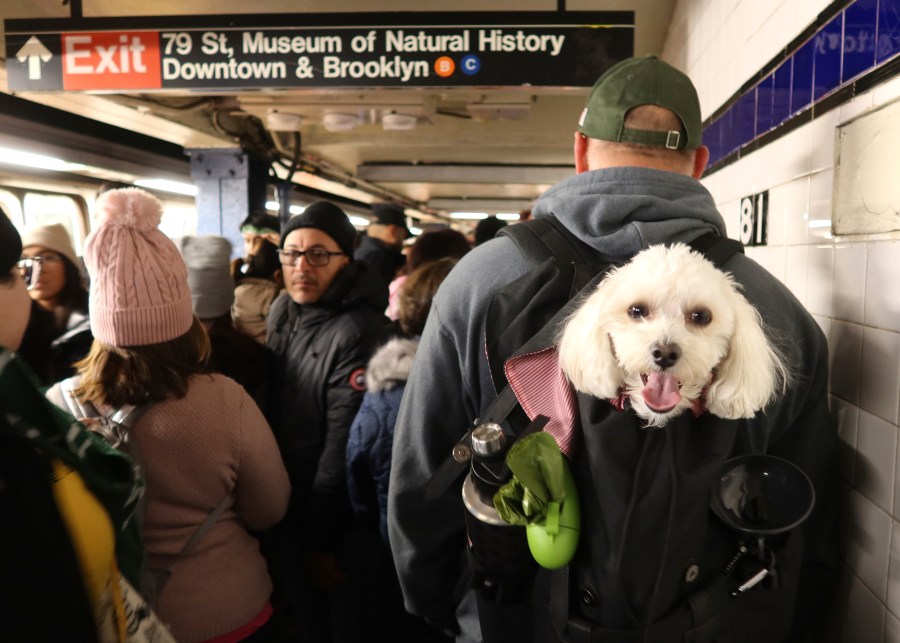 Dog duty: Pet waste will be composted in NYC parks