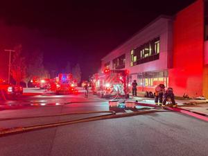 Python blamed for fire at Virginia middle school