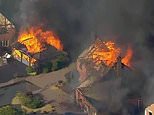 'Ash has been raining down on us from the sky for hours': On the hottest day of the year, rampant wildfires engulf streets of family homes across the country