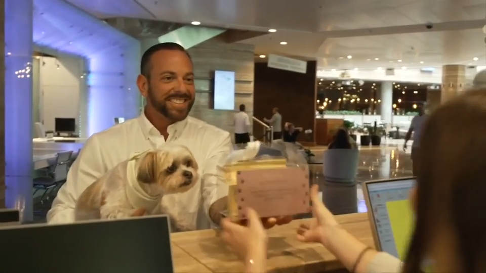 Every dog can have their best day at InterContinental Miami for National Dog Month