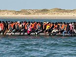 REVEALED: The 6,000-mile odyssey of the mega-dinghies made in China, by SUE REID