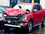 Father-of-three, 51, is left brain damaged after steel plate falls off lorry... and driver gets £100 fine