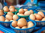 How to diversify your investments and avoid the most common traps - plus 18 fund tips