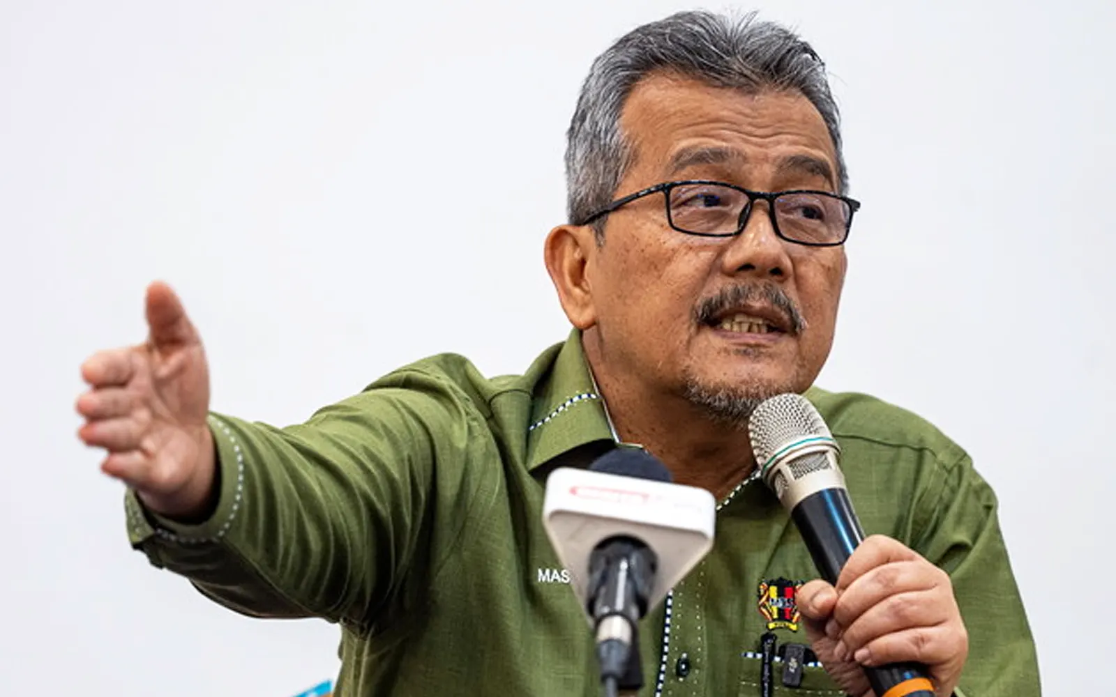 Don’t just criticise stray dog bounty scheme, Seremban mayor tells critics