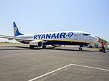 'It gave me a panic attack': Ryanair passengers 'passed out and threw up' after airline leaves them on plane in sweltering heat