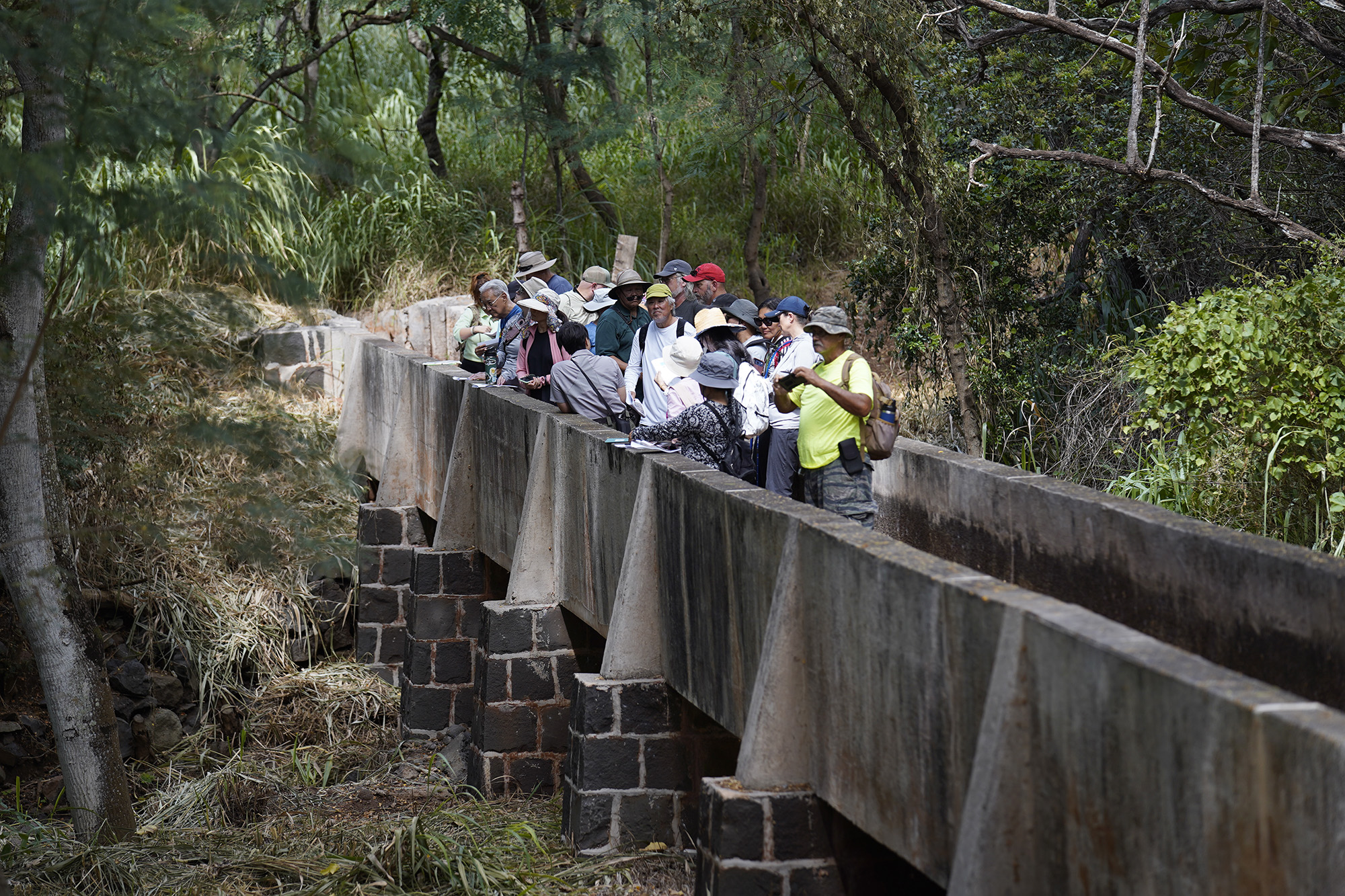 In A Hidden Hawaiʻi Gulch, A Wartime Secret Opens To The Public