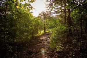 2 state parks will open in southern Missouri in the next decade