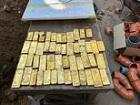Builders find hidden treasure chest filled with gold worth £7.5million while doing renovation work in a cellar