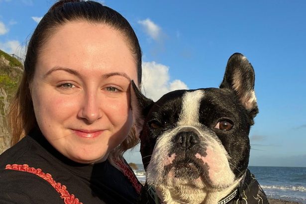 Dog nearly dies after X-ray reveals he swallowed entire rubber duck
