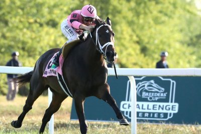 Woodbine takes center ring in weekend horse racing