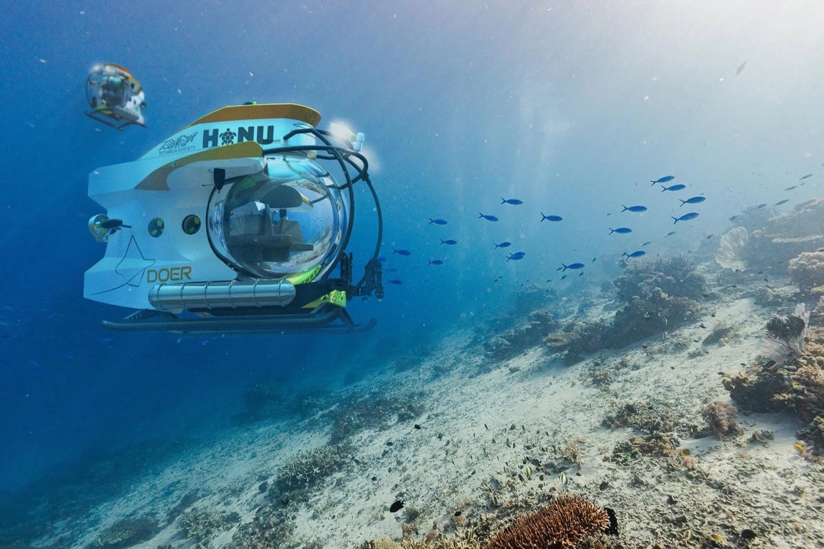 Famed oceanographer lived 7 months underwater. She has a warning for the world