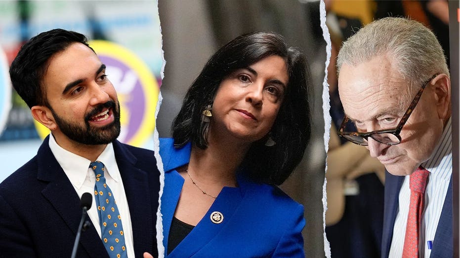 New York City’s lone Republican in Congress accuses Mamdani, Schumer of 'hypocrisy' in voter ID fight