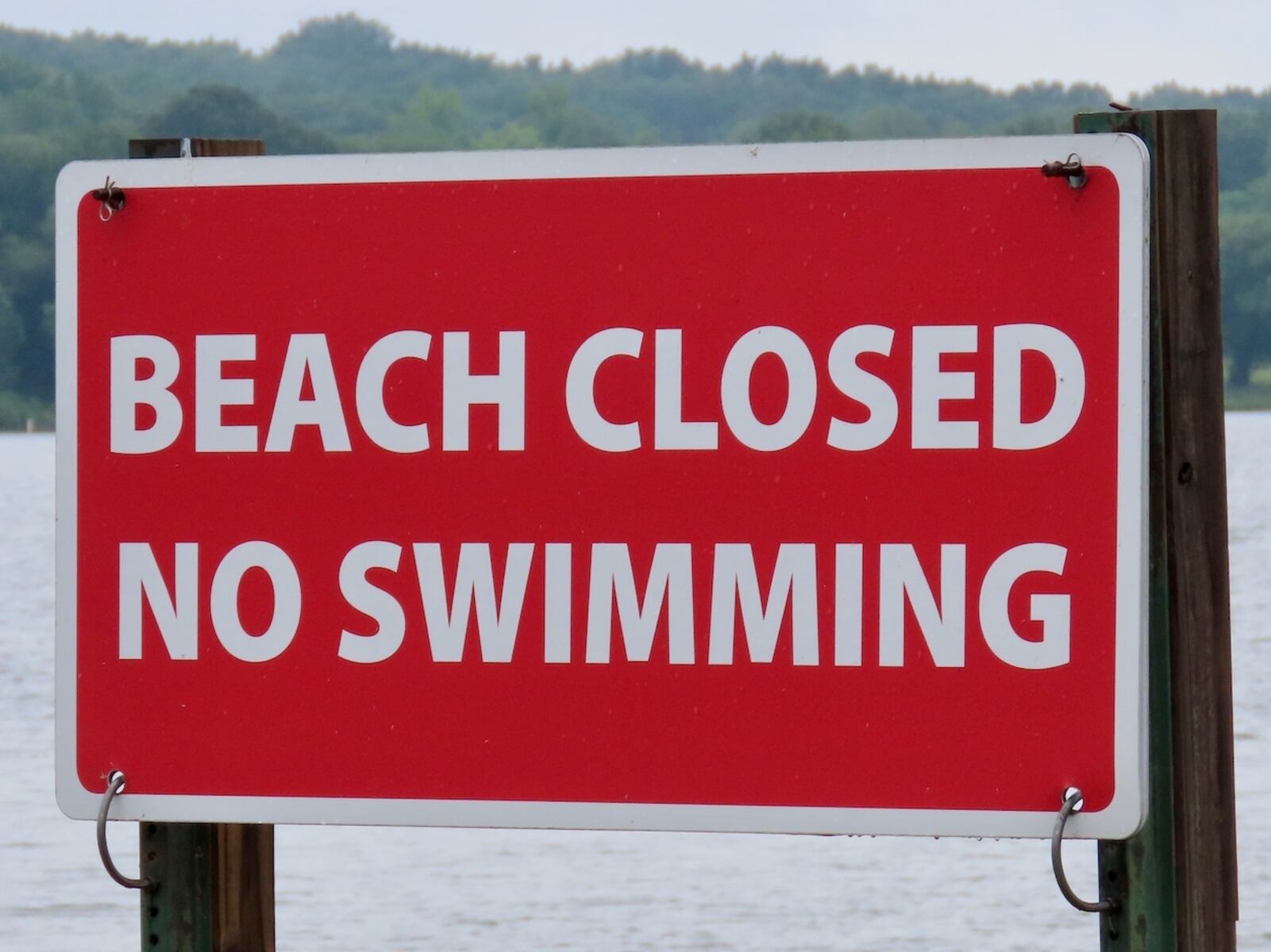 10 Michigan beaches closed, under advisories ahead of mid-August weekend