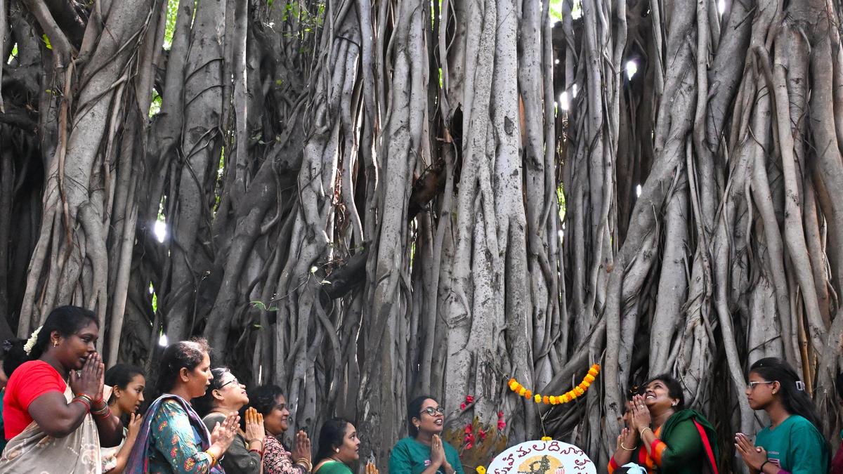The banyan tree that witnessed India’s freedom struggle