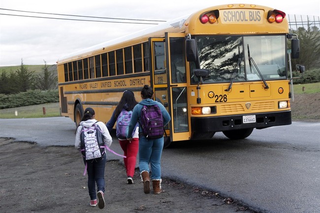 Democrat School Board Chair: Black and Brown Teachers Deserve Higher Pay Because of 'Extra Burden'