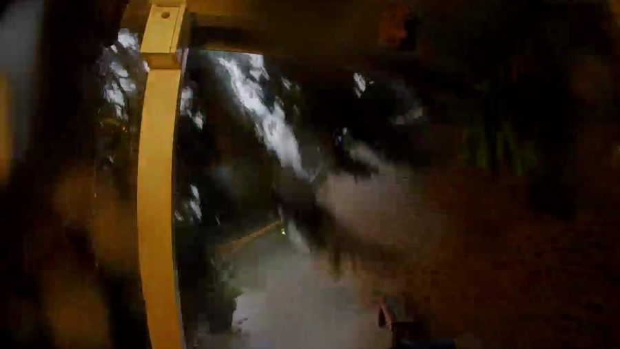 Tree crashes into Centennial home during storm: Caught on camera