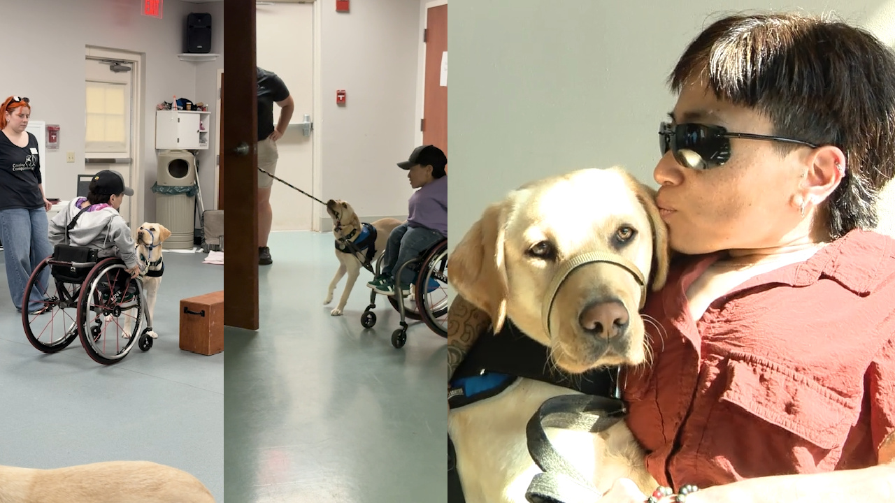 Canine Companions pair 13 service animals with human companions: 'such a joyful gift'