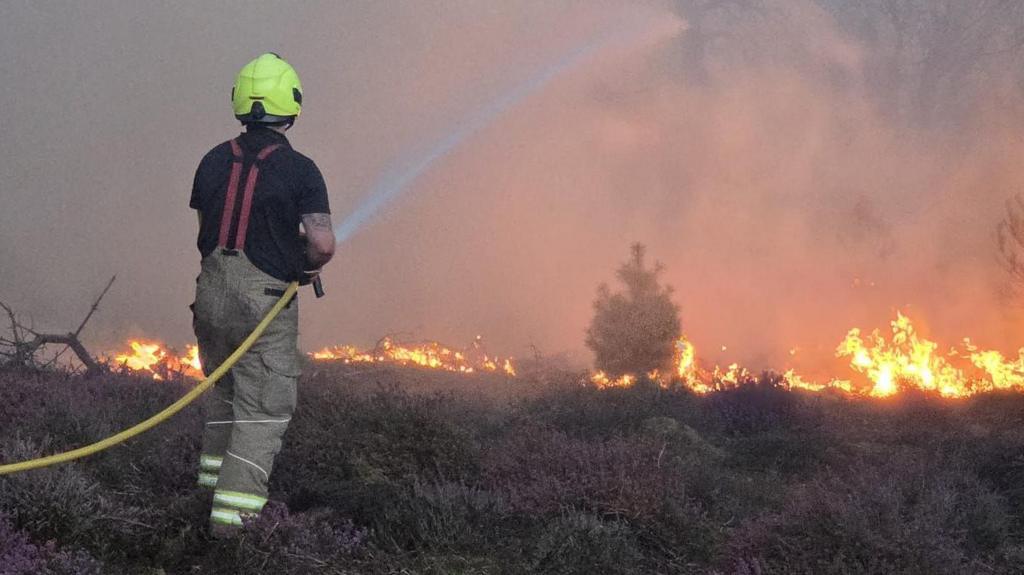 How we can all help prevent wildfires?