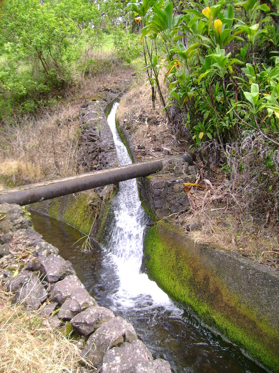 BLNR nixes long-term East Maui water license for Mahi Pono
